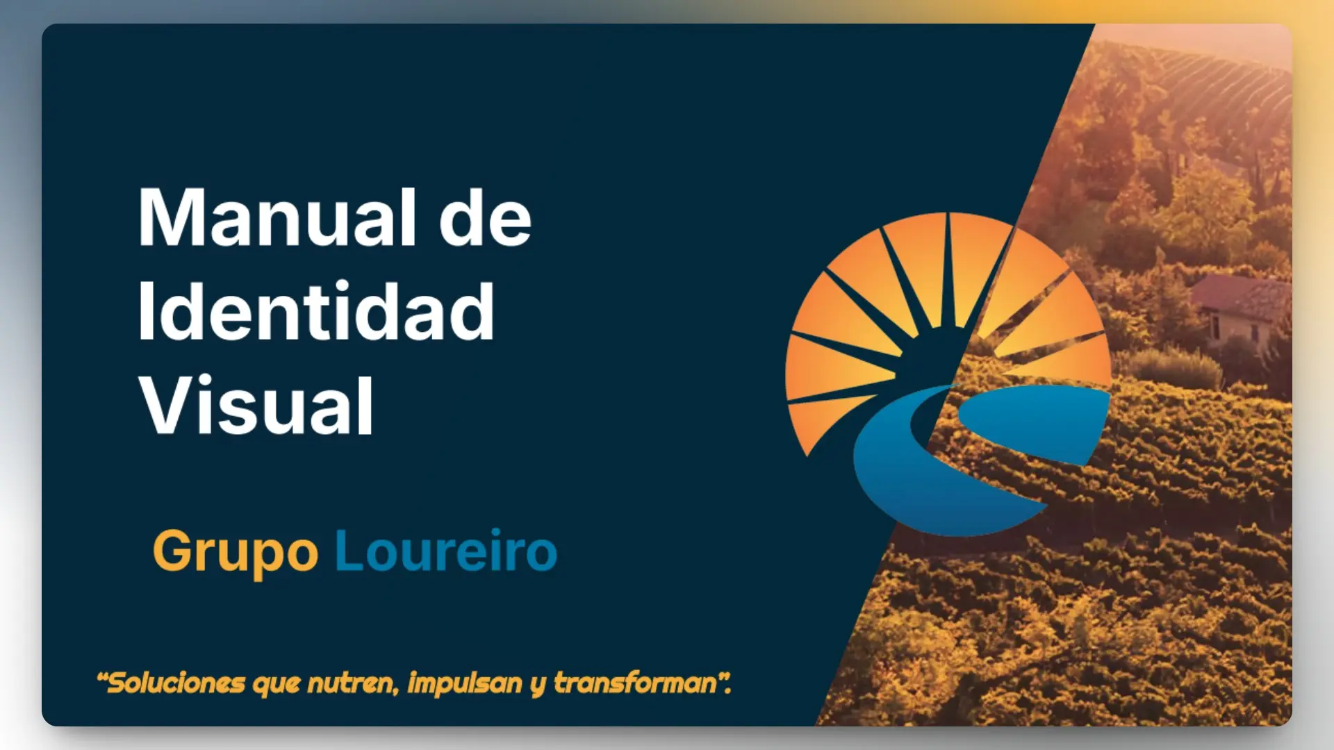 Manual de identidad visual
