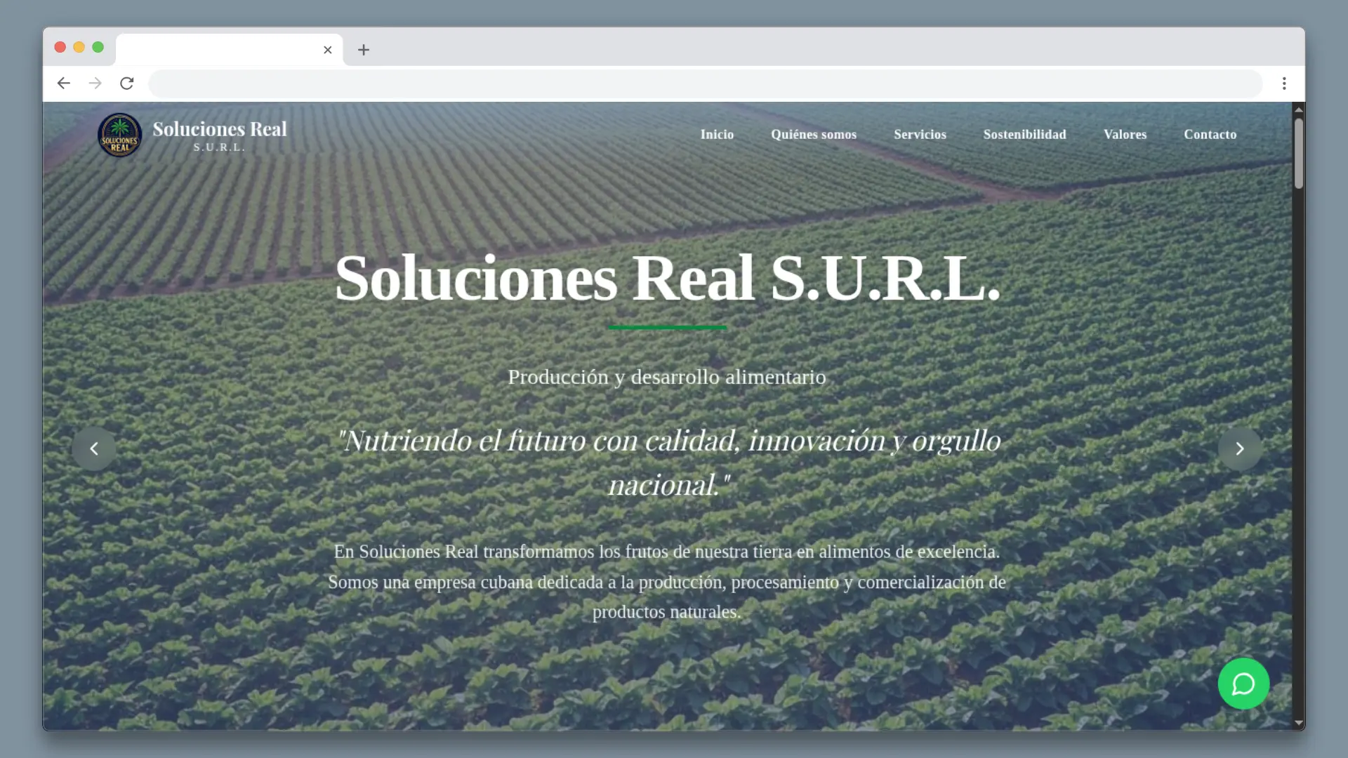 Soluciones Real S.U.R.L.